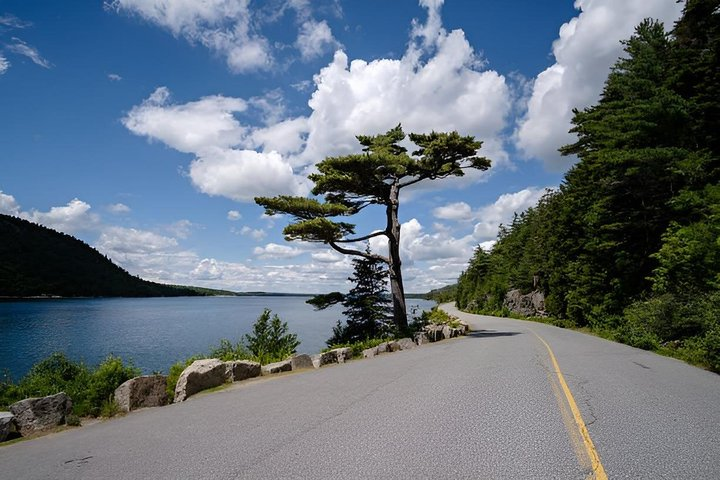 4 Hour Private Acadia Tour Cadillac Mountain & Somes Sound Fiord - Photo 1 of 20